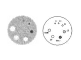 Jaszczak Flangeless Deluxe PET and SPECT Phantoms